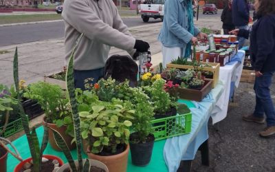 MAÑANA (SÁBADO) HABRÁ FERIA ECOFINES EN EL PLAYÓN DE LA ESTACIÓN: ESTARÁ EL PUESTO VERDE MÓVIL Y LOS CAMIONES DEL PROGRAMA MERCADOS BONAERENSES