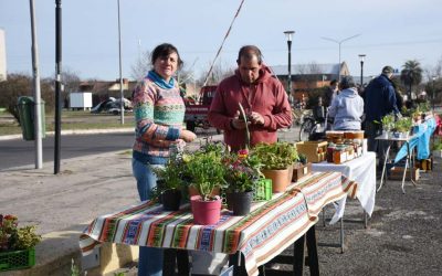 MAÑANA (SÁBADO) HABRÁ FERIA ECOFINES Y ESTARÁN EL PUESTO DE ECOCANJE Y PUNTO VERDE MÓVIL EN EL PLAYÓN DE LA ESTACIÓN