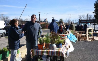 SÁBADO DE FERIA ECOFINES TRADICIONAL Y DE PUNTO VERDE MÓVIL