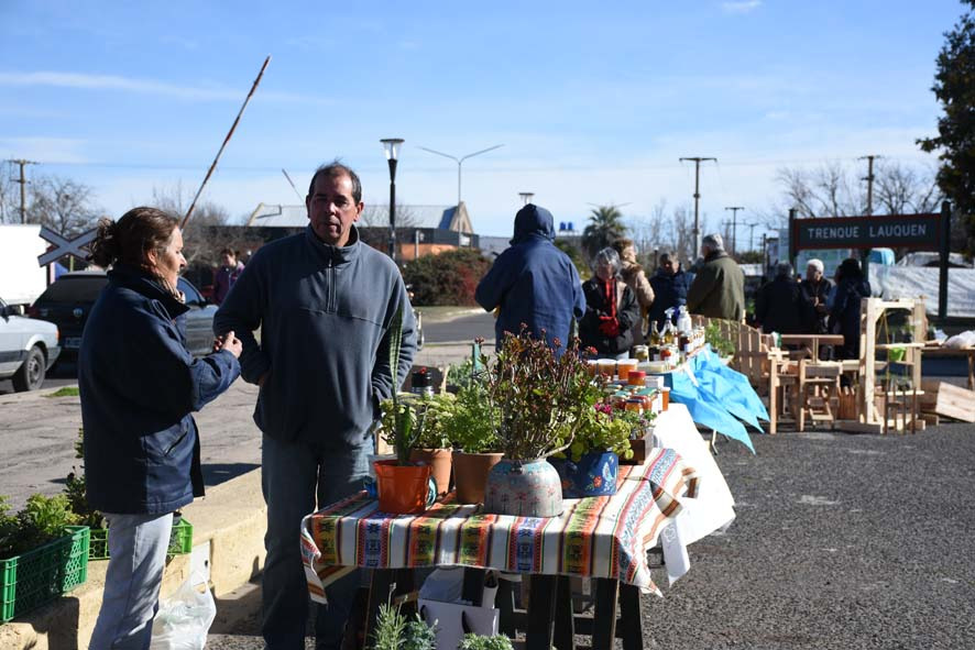 SÁBADO DE FERIA ECOFINES TRADICIONAL Y DE PUNTO VERDE MÓVIL