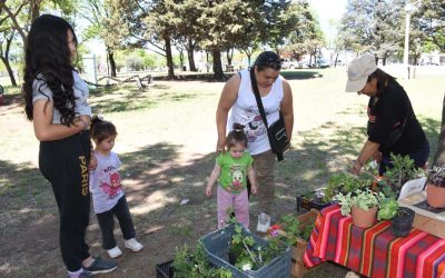 LA FERIA ECOFINES TRADICIONAL Y EL PUNTO VERDE MÓVIL ESTARÁN MAÑANA (SÁBADO) EN LA PLAZOLETA ALMIRANTE BROWN