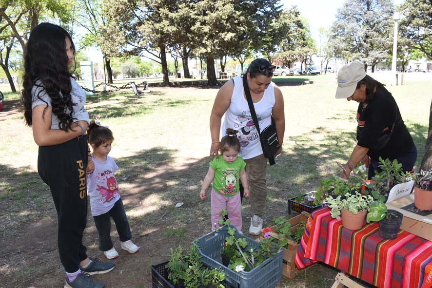 LA FERIA ECOFINES TRADICIONAL Y EL PUNTO VERDE MÓVIL ESTARÁN MAÑANA (SÁBADO) EN LA PLAZOLETA ALMIRANTE BROWN