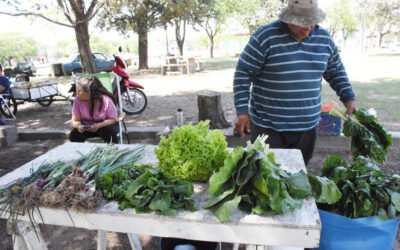 LA FERIA ECOFINES TRADICIONAL Y EL PUNTO VERDE MÓVIL ESTARÁN MAÑANA (SÁBADO) EN LA PLAZOLETA ALMIRANTE BROWN