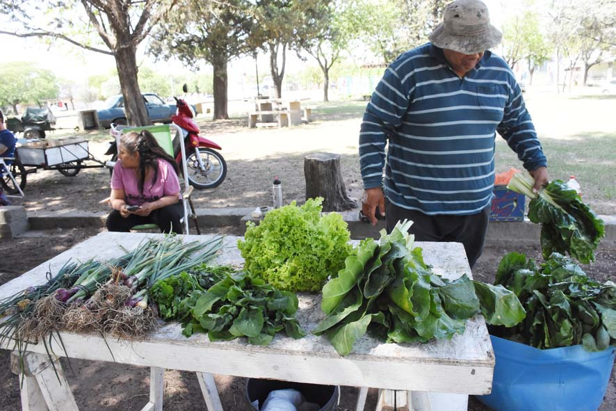 LA FERIA ECOFINES TRADICIONAL Y EL PUNTO VERDE MÓVIL ESTARÁN MAÑANA (SÁBADO) EN LA PLAZOLETA ALMIRANTE BROWN