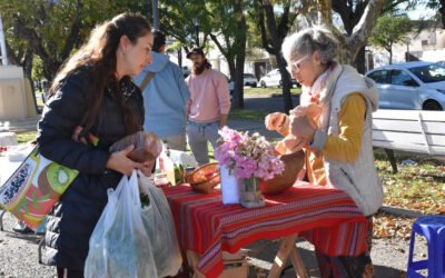 MAÑANA (SÁBADO) HABRÁ FERIA ECOFINES TRADICIONAL EN EL PLAYÓN DE LA ESTACIÓN