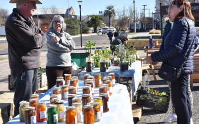 NUEVA EDICIÓN DE LA FERIA ECOFINES COMPLETÍSIMA, MAÑANA (SÁBADO) EN EL PLAYÓN DE LA ESTACIÓN