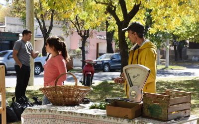 EL SÁBADO QUE VIENE (16) HABRÁ FERIA ECOFINES VERDE EN EL PLAYÓN DE LA ESTACIÓN, CON SU TRADICIONAL OFERTA DE PRODUCTOS DE HUERTA