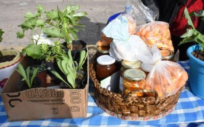 ESTE SÁBADO LA FERIA ECOFINES VERDE VUELVE A INSTALARSE EN EL PLAYÓN DE LA ESTACIÓN