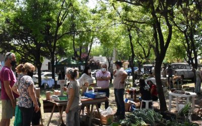 MAÑANA (SÁBADO) SERÁ EL TURNO DE LA ECOFINES VERDE, QUE SE MUDA A LA PLAZOLETA ALMIRANTE BROWN