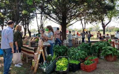 LA FERIA ECOFINES VERDE VUELVE MAÑANA (SÁBADO) A LA PLAZOLETA ALMIRANTE BROWN