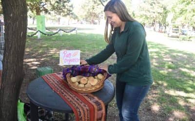 MAÑANA (SÁBADO) SERÁ EL TURNO DE LA FERIA ECOFINES VERDE EN EL PREDIO DE LA ESTACIÓN