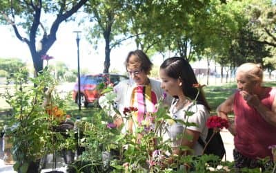 MAÑANA (SÁBADO) LA ECOFINES VERDE SE TRASLADA A LA PLAZOLETA BROWN Y MANTIENE EL HORARIO DE 10 A 14 HS.