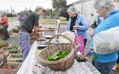 LA ECOFINES VERDE ESTARÁ MAÑANA (SÁBADO) EN LA ESTACIÓN CON PRODUCTOS AGROECOLÓGICOS