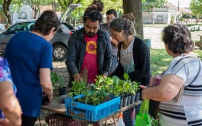 Este sábado se realizará una nueva edición de Ecofines Verde