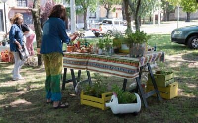 Este sábado (25) se realizará una nueva feria Ecofines Verde