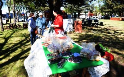 Este sábado (11) habrá Ferias EcoFines y Emprendedores Berutenses