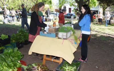 Este sábado (17) se realizará una nueva feria EcoFines verde