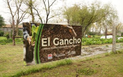 SE REALIZAN TRABAJOS DE MEJORA Y REMODELACIÓN EN LA UNIDAD PRODUCTIVA HORTÍCOLA “EL GANCHO” DE BERUTI