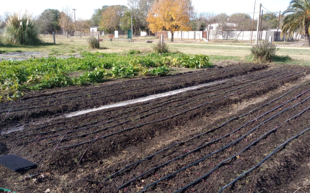 BERUTI: AVANZA EL TRABAJO DE PLANIFICACIÓN Y PLANTACIÓN EN LA UNIDAD PRODUCTIVA HORTÍCOLA MUNICIPAL “EL GANCHO”