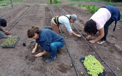 LA UNIDAD PRODUCTIVA EL GANCHO FESTEJARÁ PASADO MAÑANA (JUEVES) LOS 7 AÑOS DE TRABAJO, CON UN TALLER Y UNA FERIA DE ARTESANOS Y HORTALIZAS AGROECOLÓGICAS