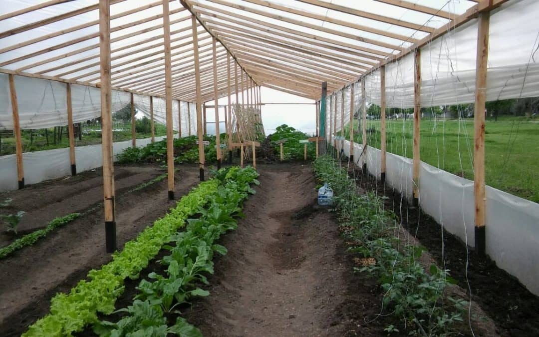 HABRA MATES Y TORTA, PERO TAMBIEN UNA CHARLA Y UNA RECORRIDA GUIADA PARA FESTEJAR EL SEGUNDO ANIVERSARIO DE “EL GANCHO”