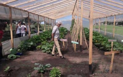 CAPACITACIÓN PARA LA CONSTRUCCIÓN DE UN INVERNÁCULO PARA PRODUCCIÓN HORTÍCOLA EN 30 DE AGOSTO