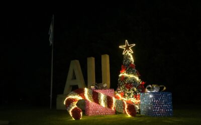 QUEDARON ENCENDIDOS LOS ARBOLITOS Y ADORNOS NAVIDEÑOS EN ESPACIOS PÚBLICOS Y LA CIUDAD SE PREPARA PARA EL TRADICIONAL ENCUENTRO DEL 7 DE DICIEMBRE