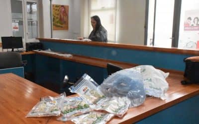 ENTREGA DE SEMILLAS DE PRIMAVERA VERANO DE PRO HUERTA