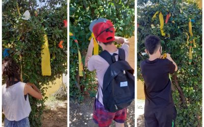 JÓVENES DE ENVIÓN ARMAN UN ÁRBOL DE NAVIDAD EN LA SEDE DEL PROGRAMA Y EL MARTES SE SORTEARÁ UN PREMIO ENTRE LOS QUE PARTICIPARON DE LA ACTIVIDAD