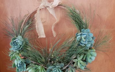 MAÑANA (JUEVES) Y EL VIERNES TENDRÁN LUGAR LOS ACTOS DE CIERRE DEL CICLO LECTIVO 2020 DE LA ESCUELA MUNICIPAL EN SUS SEDES DE BERUTI Y GIRODÍAS