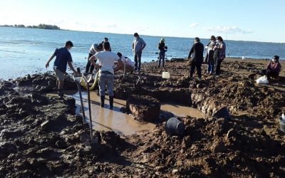 UN GRUPO DE EXPERTOS TRABAJÓ EL FIN DE SEMANA EN CUERO DE ZORRO DONDE FUERON HALLADOS LOS RESTOS DE GLIPTODONTE