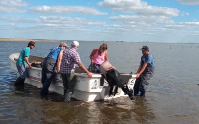 BIÓLOGOS DE LA PROVINCIA ESTÁN REALIZANDO UN ESTUDIO SOBRE EL RECURSO PESQUERO EN LA LAGUNA HINOJO-LAS TUNAS