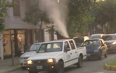 EL MUNICIPIO APLICÓ UN REPELENTE PARA AHUYENTAR LOS TORDOS DESDE LA ESTACION HASTA LA TERMINAL