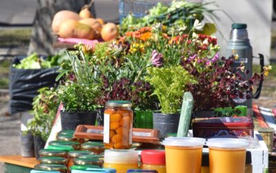 MAÑANA (SÁBADO) HABRÁ FERIA ECOFINES EN EL PLAYÓN DE LA ESTACIÓN