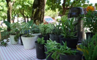 HABRÁ FERIA ECOFINES ESTE SÁBADO (13) EN LA PLAZOLETA ALMIRANTE BROWN