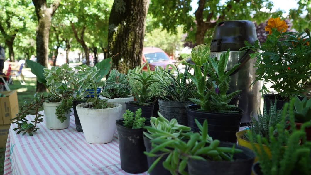 HABRÁ FERIA ECOFINES ESTE SÁBADO (13) EN LA PLAZOLETA ALMIRANTE BROWN
