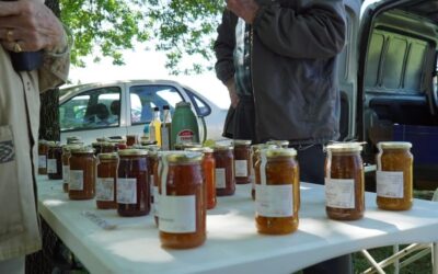 LA FERIA ECOFINES VUELVE MAÑANA (SÁBADO) A LA PLAZOLETA ALMIRANTE BROWN CON SU PROPUESTA DE ECONOMÍA SUSTENTABLE