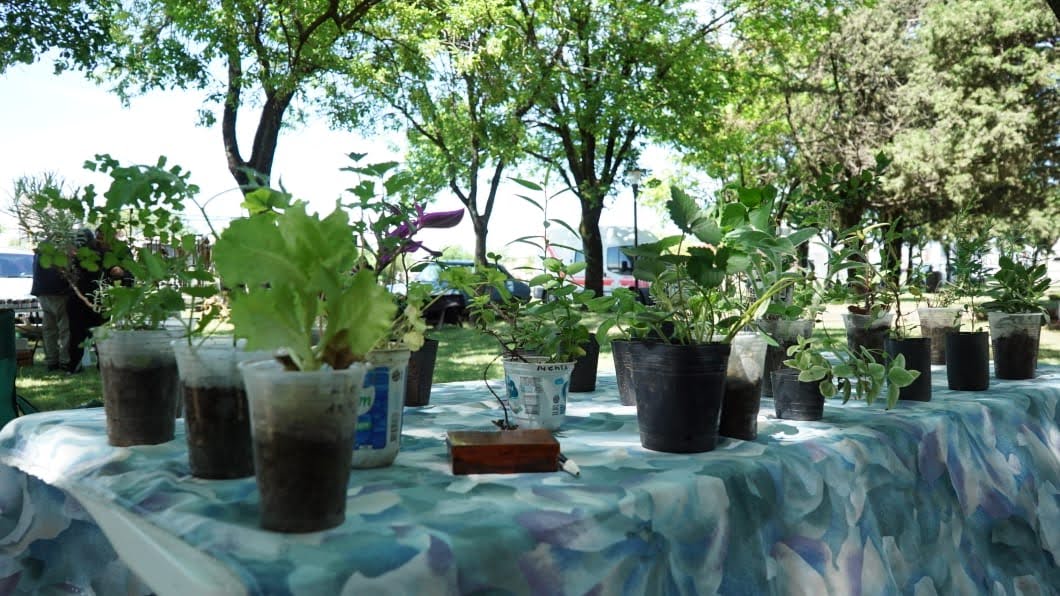 NUEVA EDICIÓN DE LA FERIA ECOFINES, MAÑANA (SÁBADO) EN LA PLAZOLETA ALMIRANTE BROWN