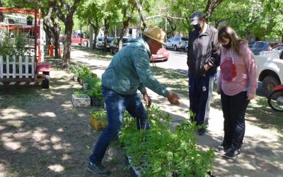 TRADICIONAL PERO SIEMPRE RENOVADA, LA FERIA ECOFINES INICIA MAÑANA (SÁBADO) EL CAMINO DE SU SÉPTIMA TEMPORADA