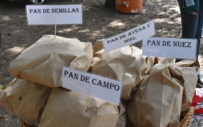 LA FERIA ECOFINES + EL PUESTO DE ECOCANJE, MAÑANA (SÁBADO) EN LA PLAZOLETA ALMIRANTE BROWN