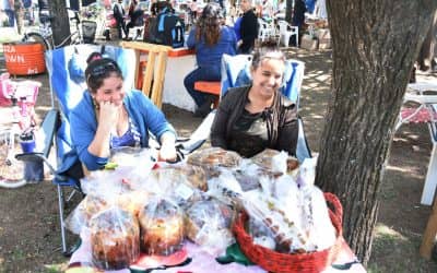 MAÑANA (SÁBADO) DE 9 A 13 LA FERIA ECOFINES VERDE VUELVE A INSTALARSE EN LA PLAZOLETA BROWN