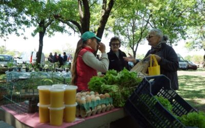 MAÑANA (SÁBADO) HABRÁ FERIA ECOFINES EN LA PLAZOLETA ALMIRANTE BROWN
