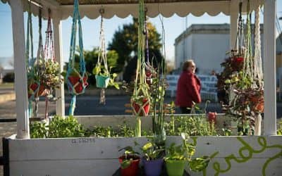 UN SÁBADO MÁS DE FERIA ECOFINES VERDE