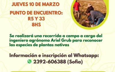 REDESCUBRIMIENTO DE LA FLORA NATIVA Y UN PASEO TURÍSTICO–PRODUCTIVO EN BERUTI