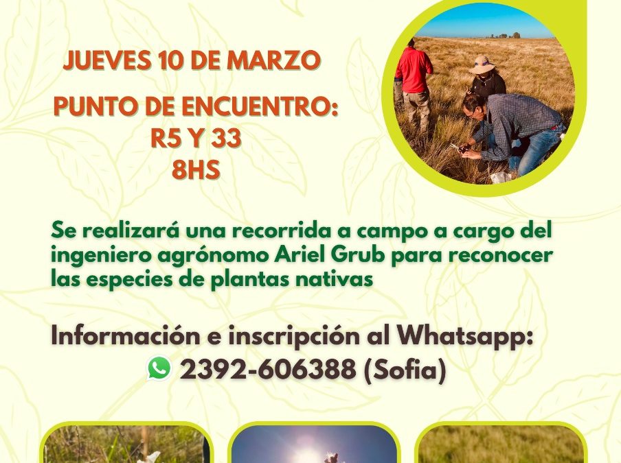 REDESCUBRIMIENTO DE LA FLORA NATIVA Y UN PASEO TURÍSTICO–PRODUCTIVO EN BERUTI