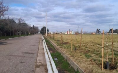 BERUTI: SE REALIZÓ UNA JORNADA DE FORESTACIÓN EN LA CALLE GUAZZONE Y EN EL ACCESO A LA LOCALIDAD