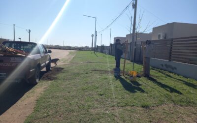 CAMPAÑA DE FORESTACIÓN DE VEREDA: EL MUNICIPIO SIGUE CON LA COLOCACIÓN DE ESPECIES EN DOMICILIOS DE LA CIUDAD