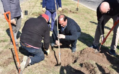 MES DEL ÁRBOL: SE PLANTARON ÁRBOLES NATIVOS EN EL ACCESO PERÓN Y ESTA TARDE (MARTES) SE PRESENTA EL PLAN REGULADOR DE ARBOLADO PÚBLICO