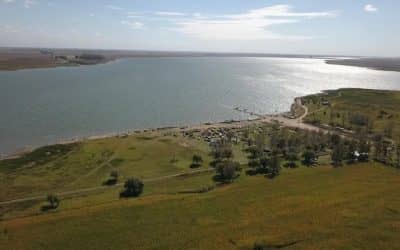 DESDE EL DOMINGO Y HASTA EL 30 DE NOVIEMBRE ESTARÁ VEDADA LA PESCA COMERCIAL DE PEJERREY