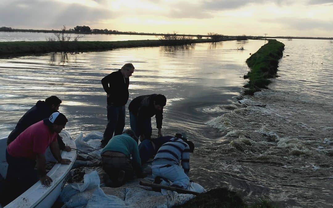 Se conformará el Comité de Cuenca del distrito